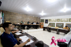 Vereadores de Coronel manifestam apoio a campanha Outubro Rosa